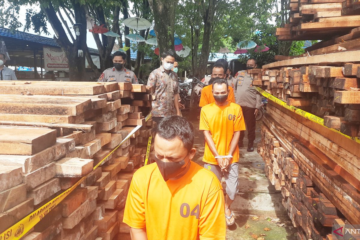 Oknum anggota Polri tersangka pemilik 245 potong kayu bulat ilegal