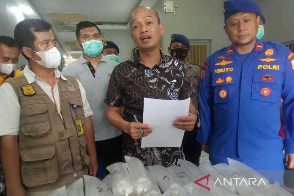 Polda Jabar gagalkan upaya penyelundupan 8.600 benur