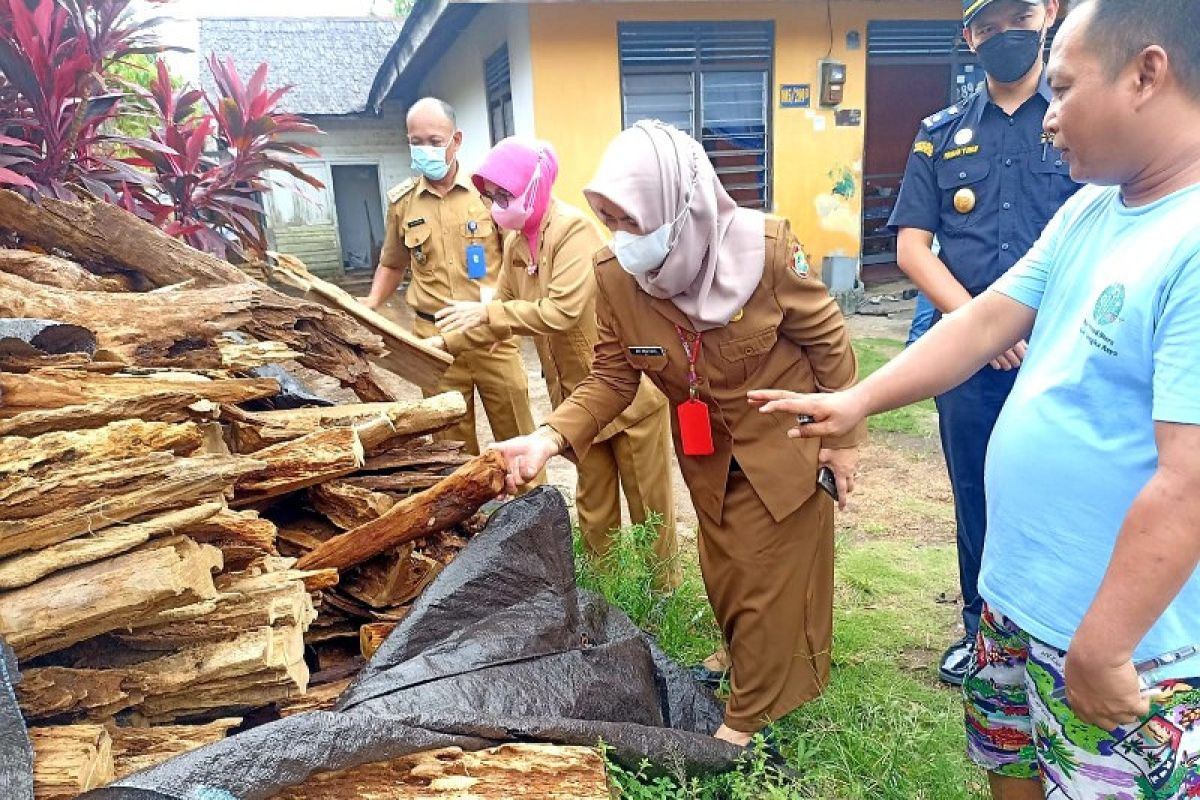 Pemprov Kalteng fasilitasi eksportir kayu gaharu perluas pemasaran