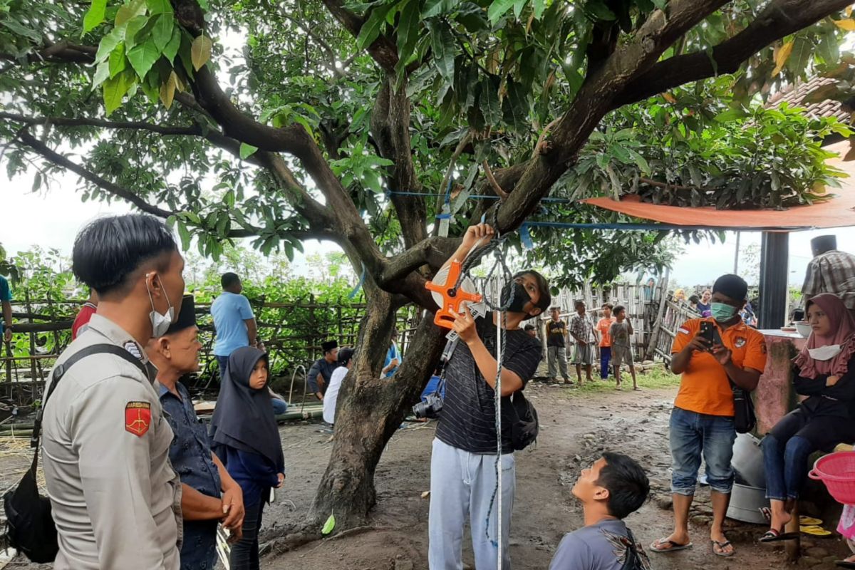 Geger, kakek 62 tahun di Sambalia Lombok Timur gantung diri di pohon mangga
