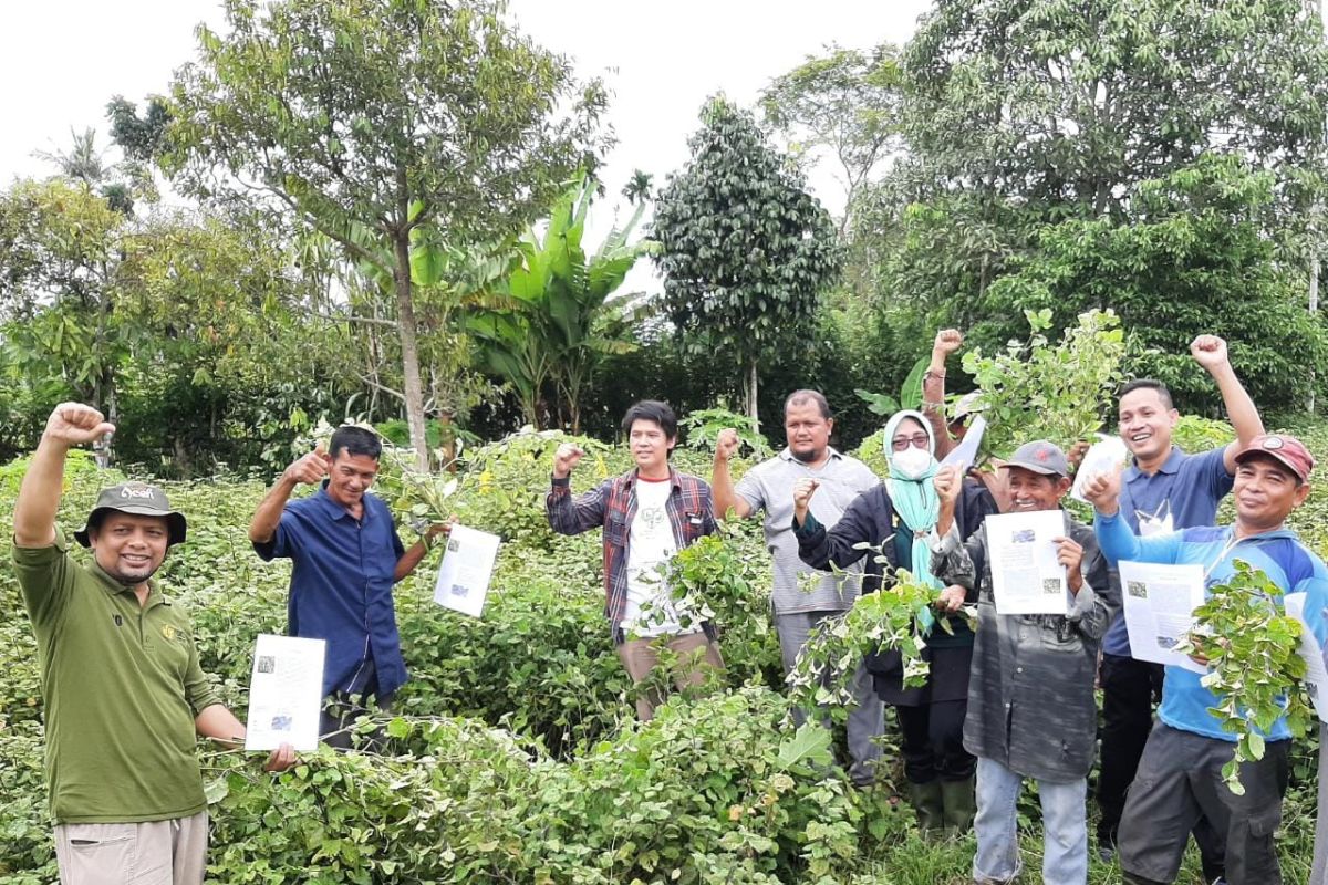 ARC dan Fakultas Pertanian USK semangati petani Aceh Besar beralih ke komoditi nilam