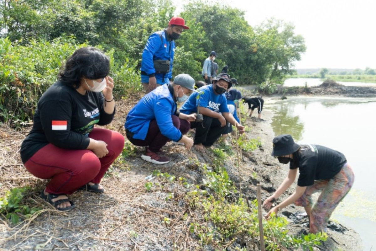 Super Agen gandeng Earth Hour Surabaya tanam mangrove peringati Hari Hutan Sedunia
