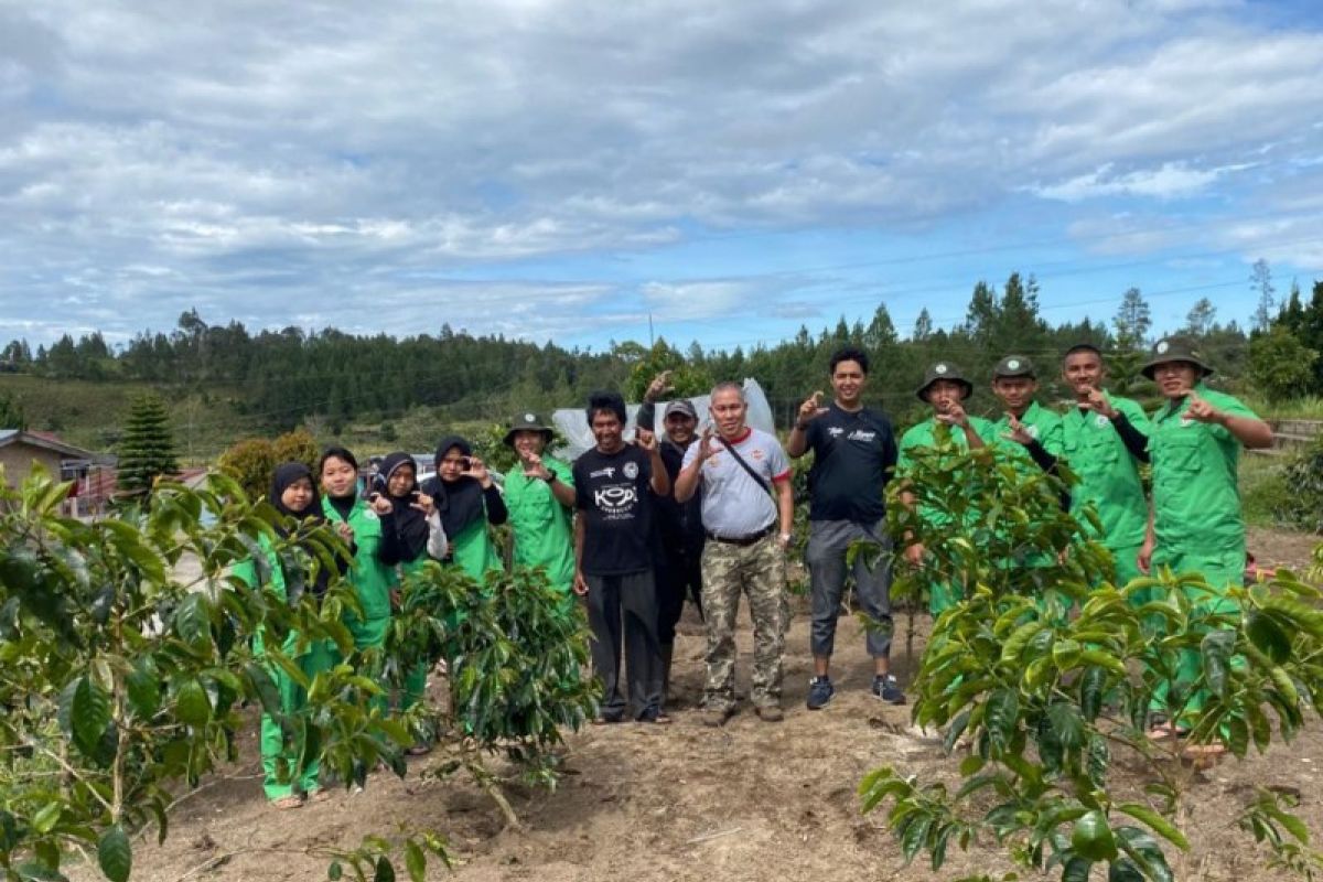 Jaga kelestarian Kopi Sigarar Utang, Mahasiswa Polbangtan lakukan PKL di Kebun Kopi Humbahas