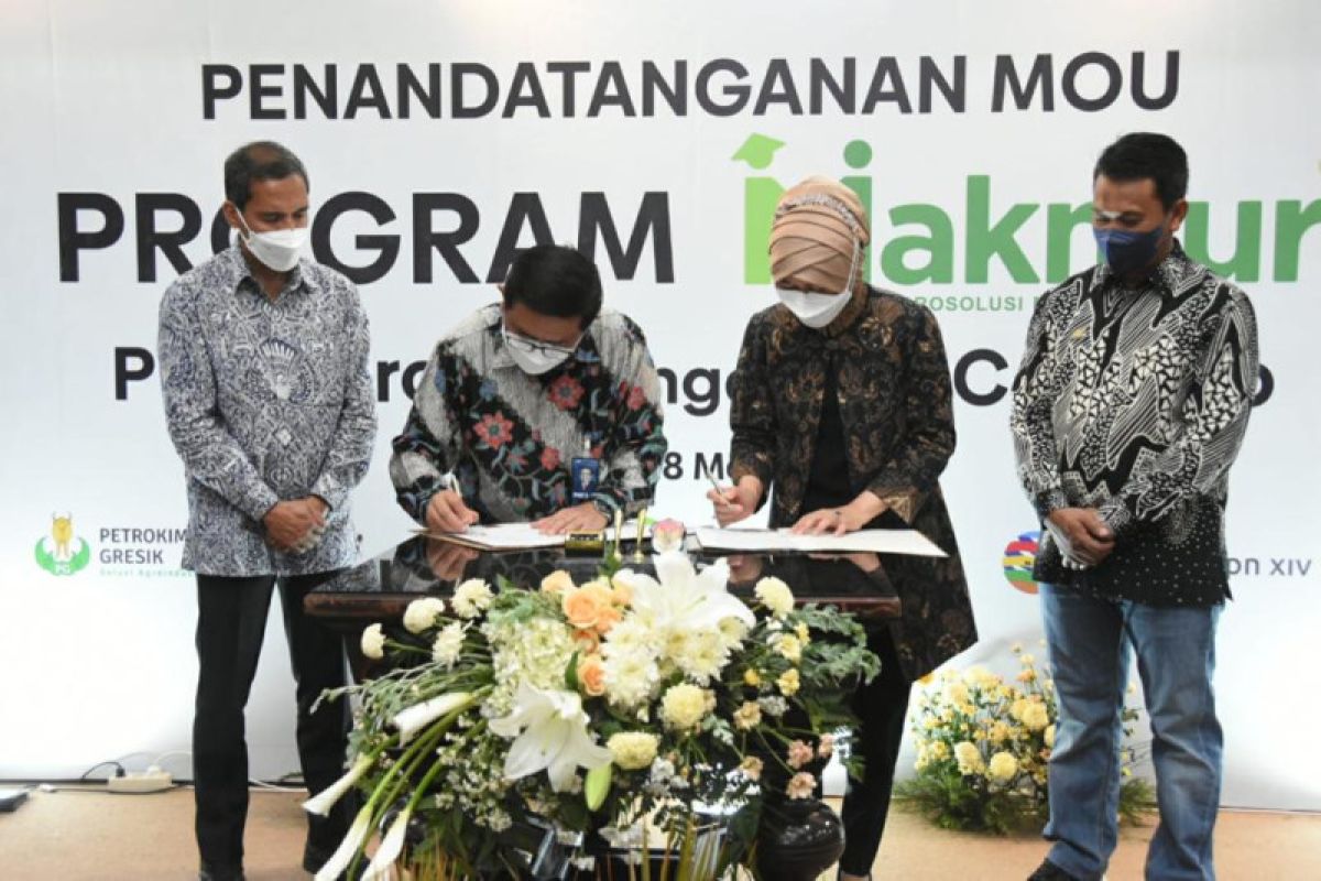 Petrogres - PTPN Grup perluas kerja sama Program Makmur petani tebu