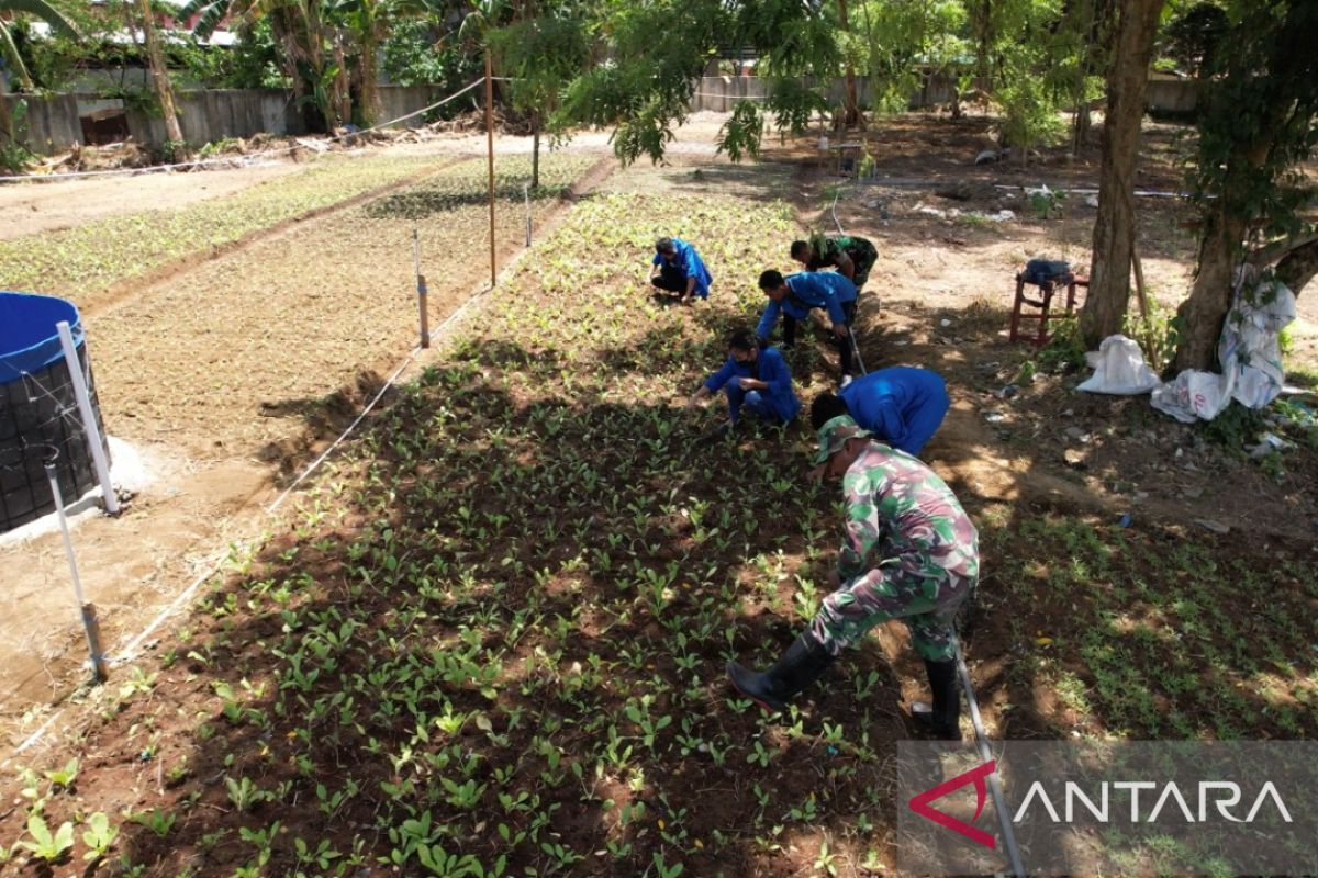 Kodam XVI & Unpatti Ambon ubah lahan tidur jadi areal pertanian