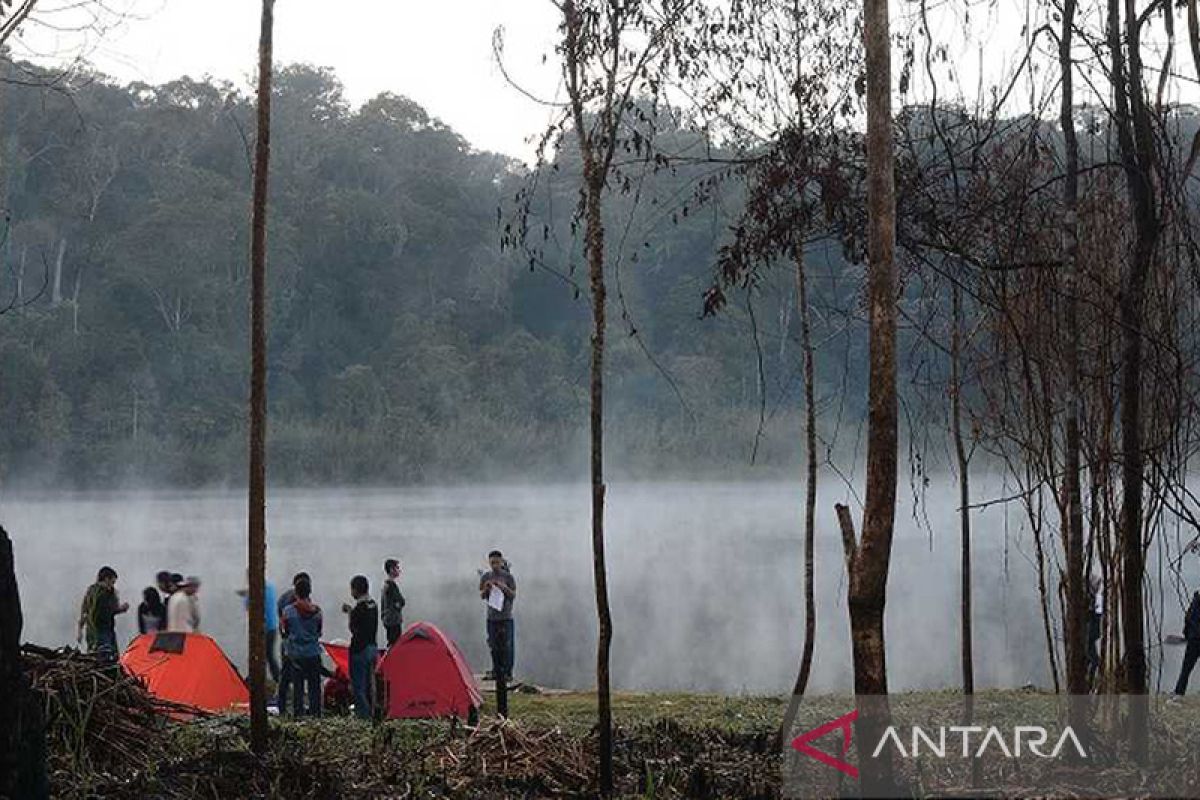 BTNLL: Hutan di Sulteng rusak karena pembalakan dan penambangan liar