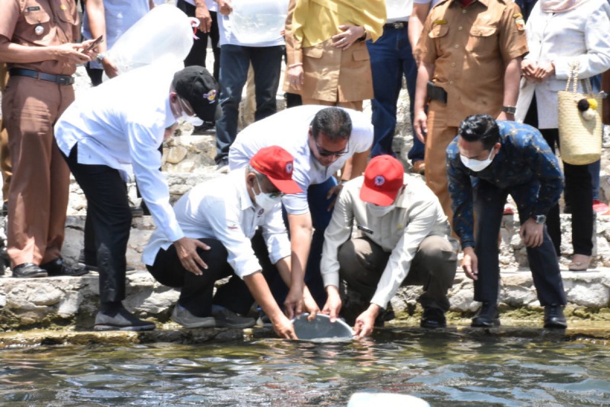 Gubernur Sumbar apresiasi  pelestarian ikan endemik Danau Singkarak