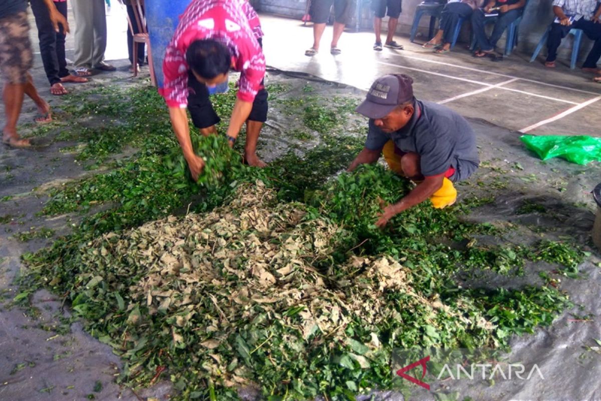 Indocement latih UMKM kembangkan fermentasi pakan ternak