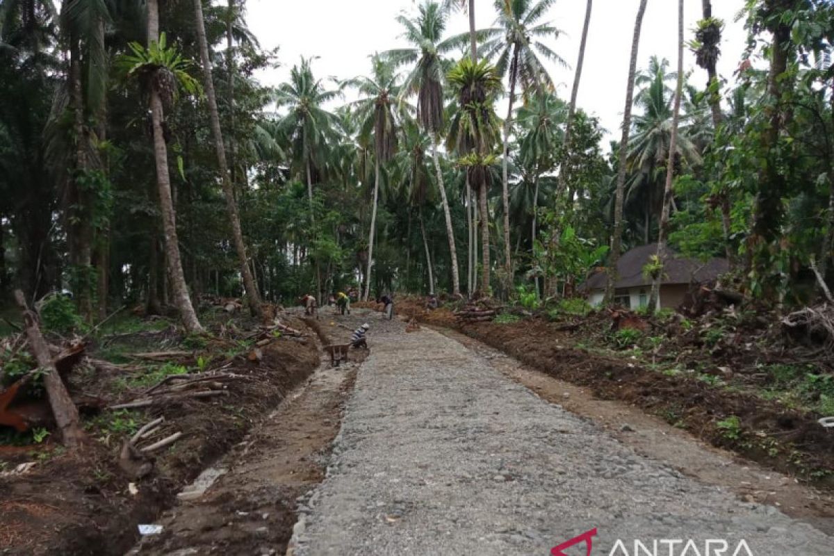 Dua jalan usaha pertanian di Padang Pariaman dibangun gunakan DAK