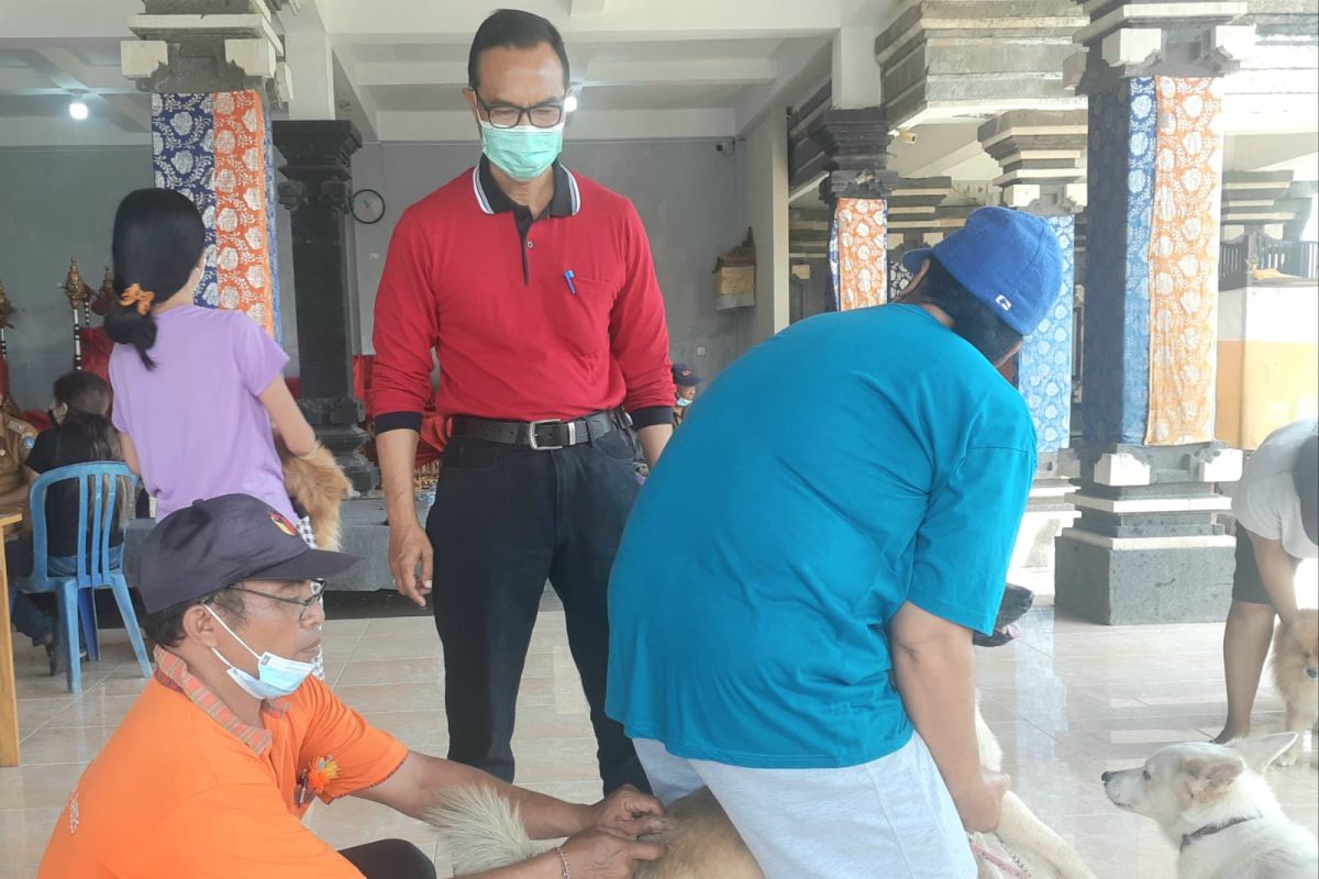 Badung giatkan vaksinasi anjing liar di GWK sambut G20