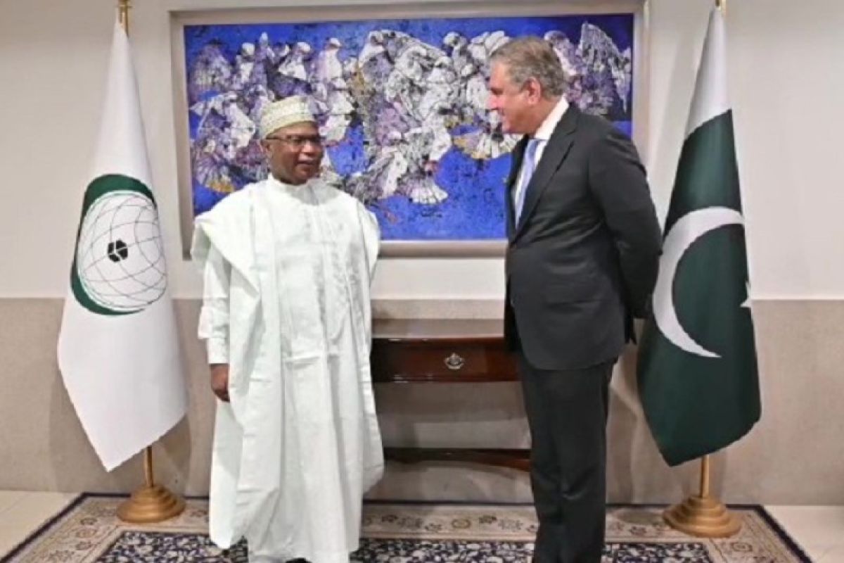 Pakistani FM, OIC secretary general review CFM agenda