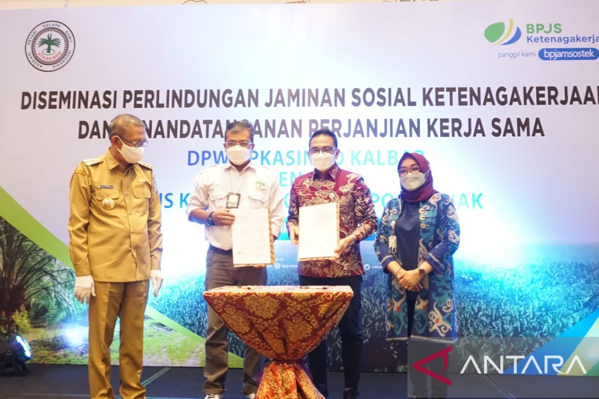 BPJS Ketenagakerjaan Pontianak gandeng Apkasindo Kalbar dongkrak kepesertaan