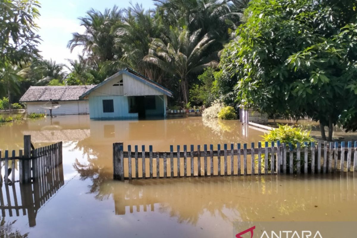 Desa Bungkudu di Buol  dilanda banjir dan 669 jiwa terdampak