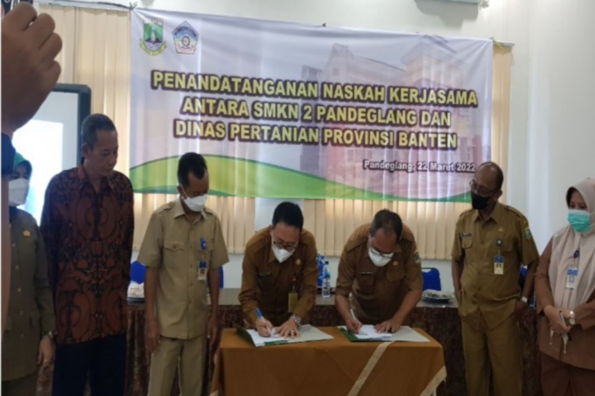 Distan Provinsi Banten gandeng SMKN 2 Pandeglang pengembangan bibit tanaman