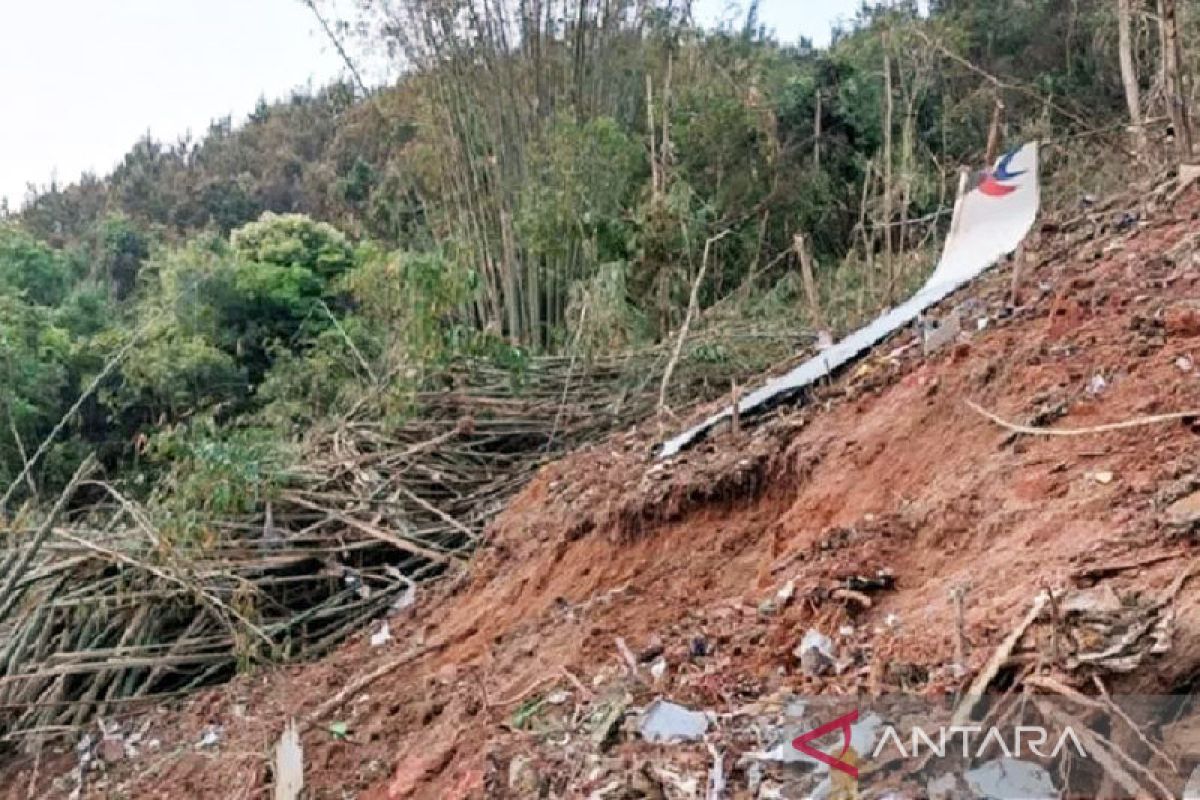 Pesawat Boeing 737-800 China jatuh, 132 penumpang tewas