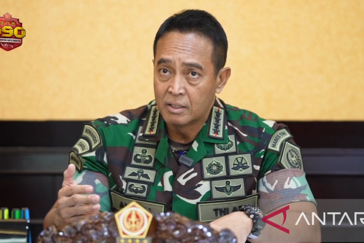 Panglima TNI: Komandan kompi Distrik Gome diproses hukum