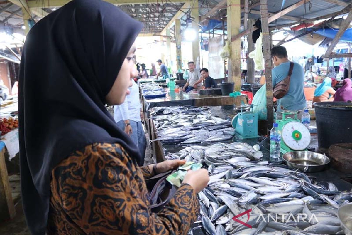Jelang Ramadhan, harga ikan di Subulussalam turun