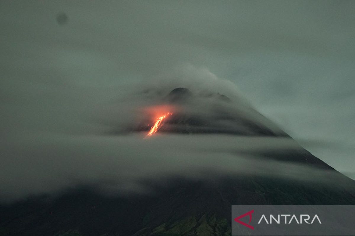 Gunung Merapi luncurkan 13 guguran lava pijar sejauh 1,8 km
