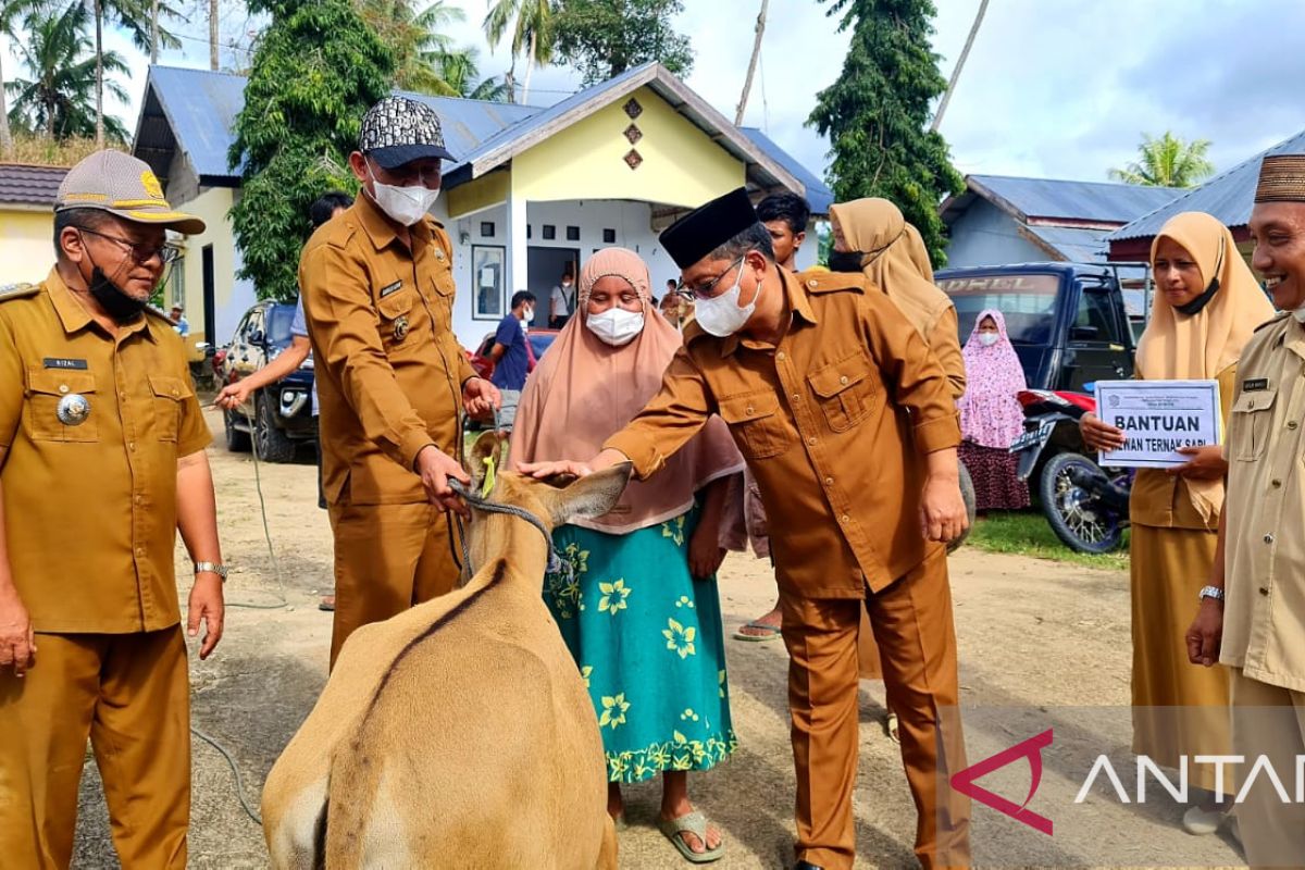 Wabup Gorontalo Utara salurkan bantuan ternak sapi