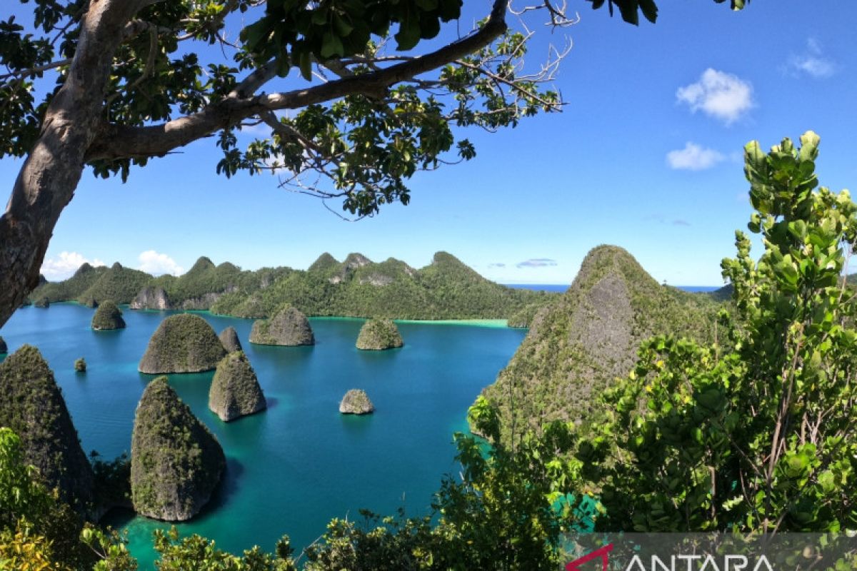 Pengaruh Raja Ampat episentrum segitiga terumbu karang dunia