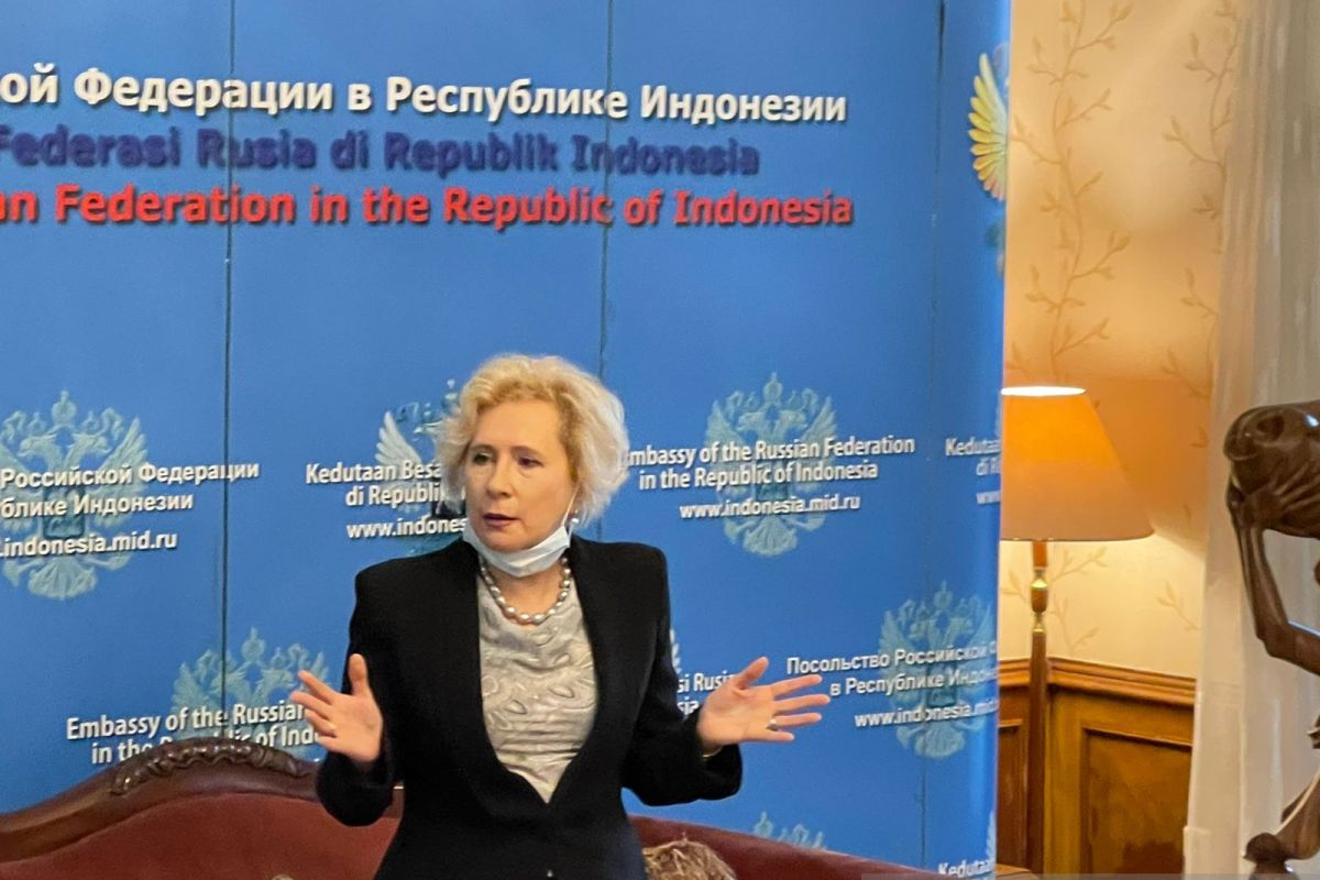 Rusia kembali buka layanan pembuatan visa bagi pengunjung asal Indonesia