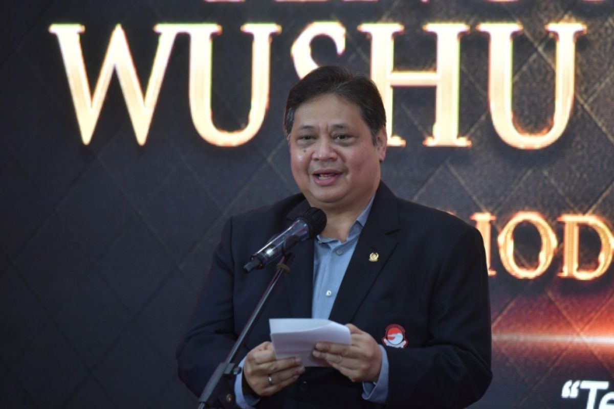 Airlangga apresiasi dukungan Menpora pada perkembangan wushu Indonesia