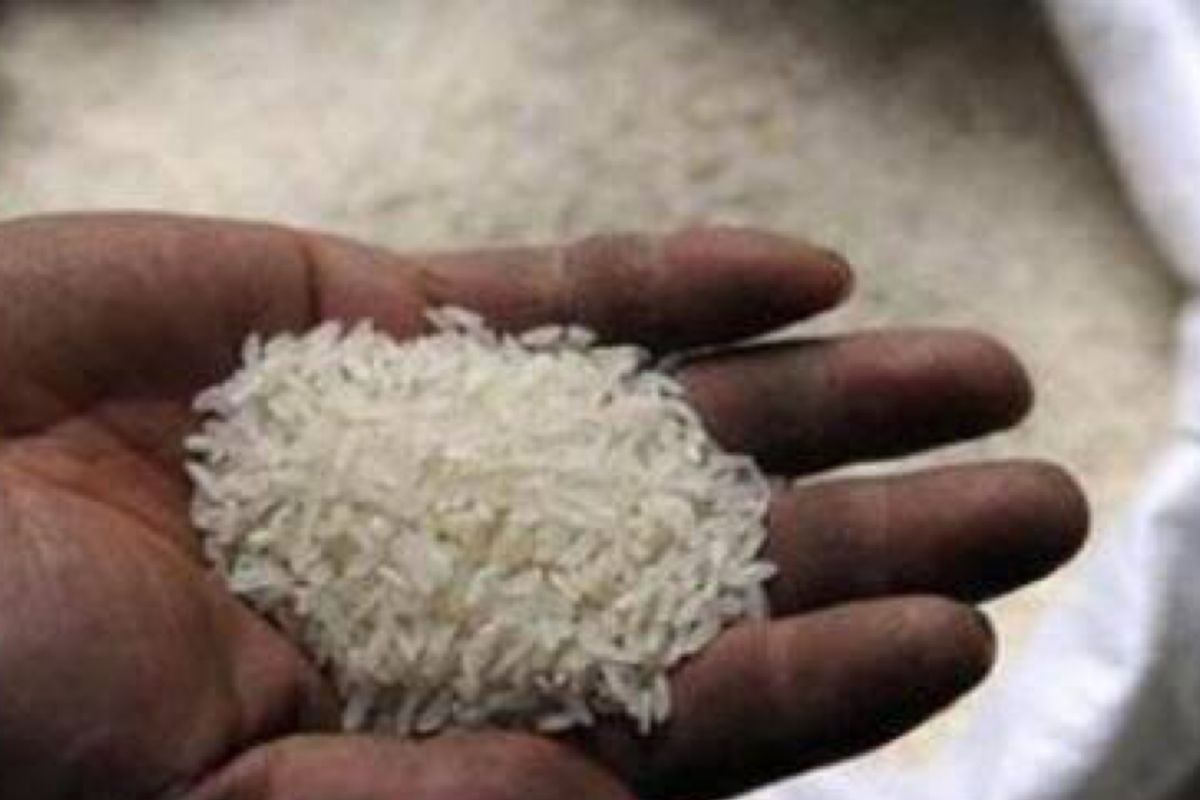 Pataka: kenaikan harga beras disebabkan multifaktor