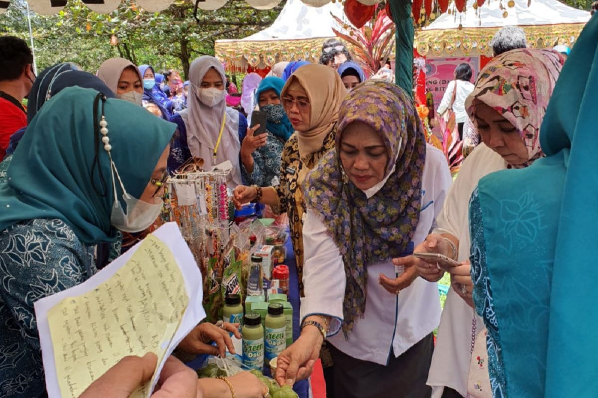 Pemkab Pangkep maksimalkan Kampung KB dengan program Dahsyat