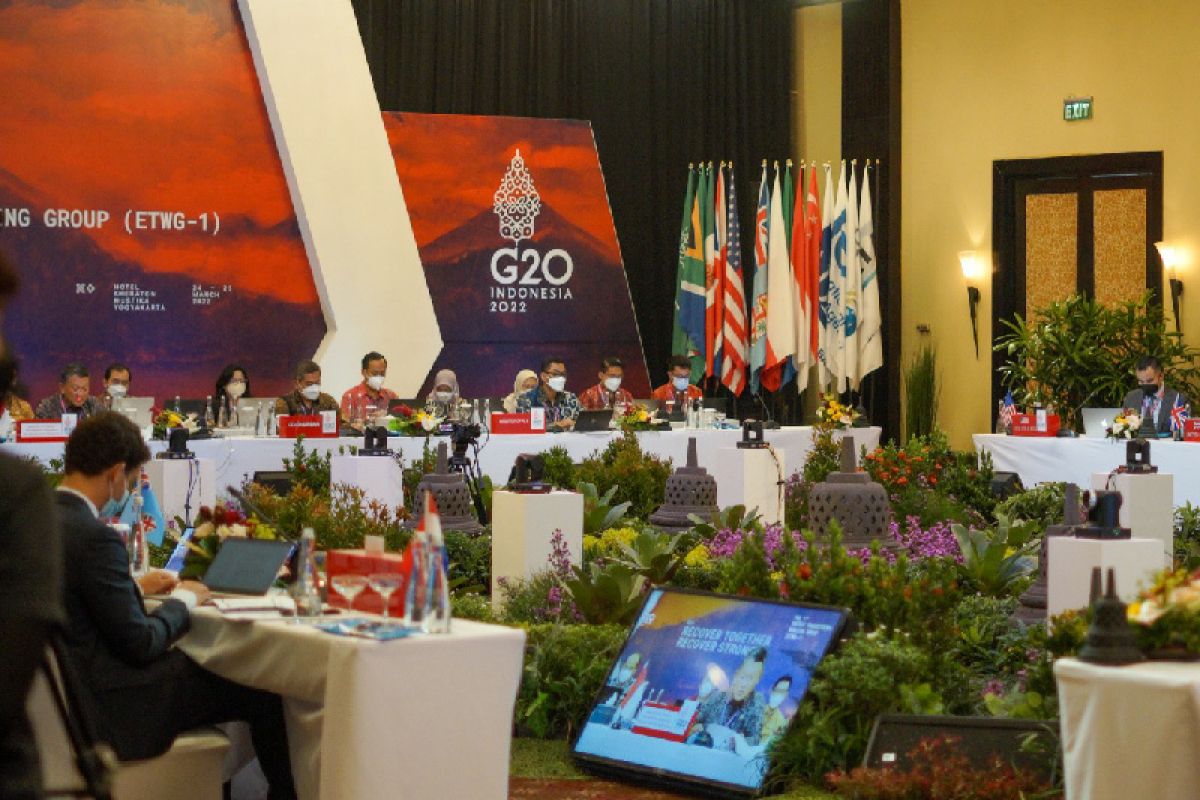 Dirut PLN ungkap langkah nyata pencapaian net zero emission dalam Forum ETWG-1 G20