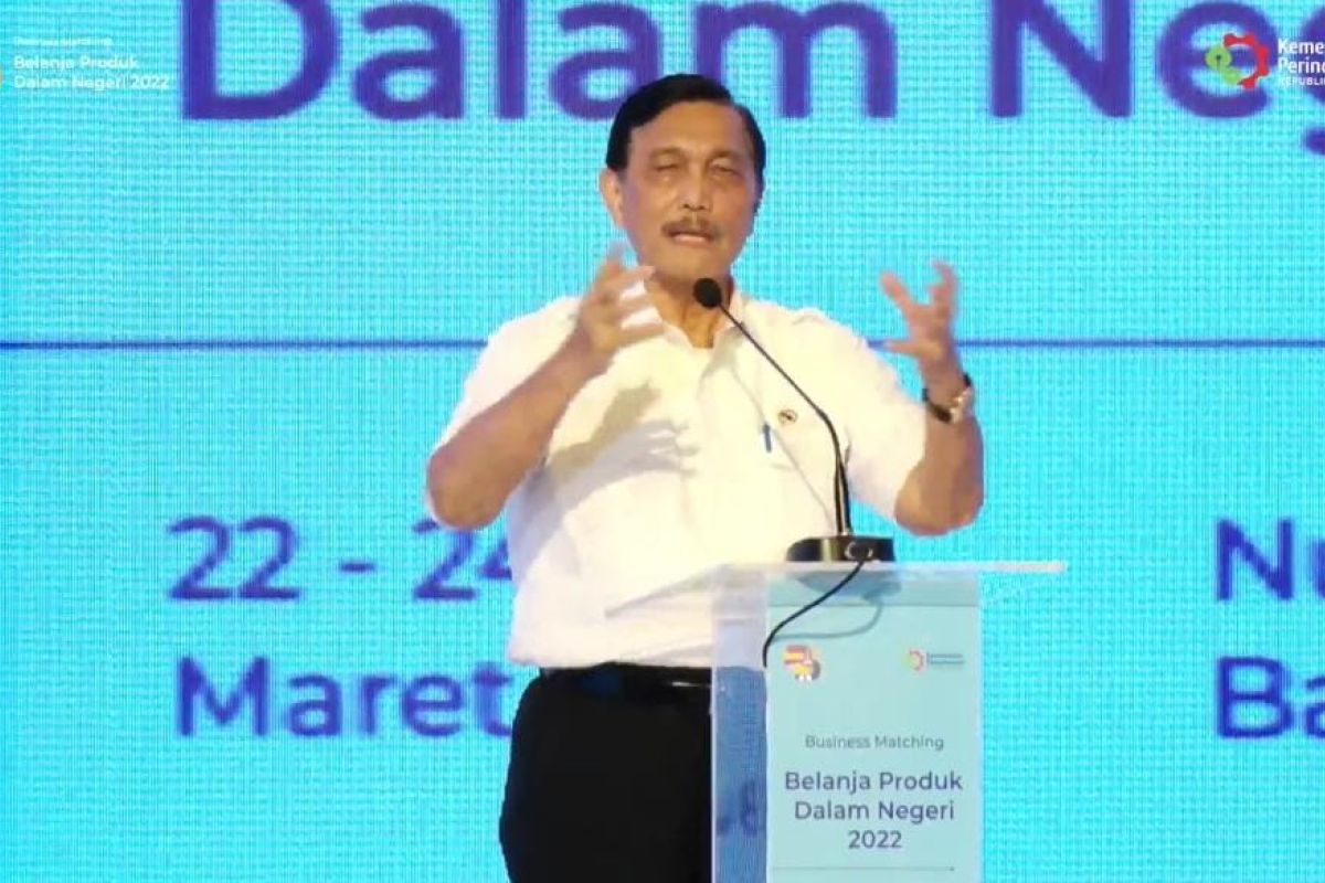 Luhut minta Tesla penuhi syarat jika investasi di Indonesia