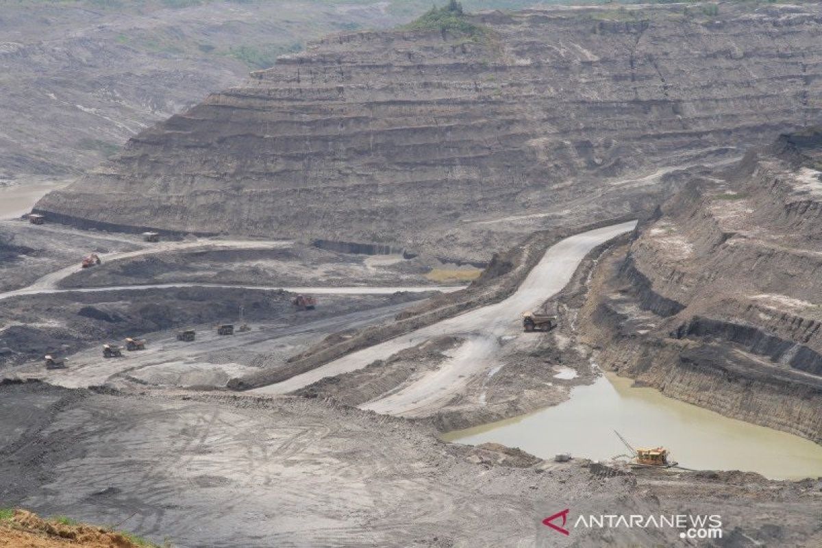 Pemerintah diminta berantas praktik mafia batu bara di Kalimantan Timur