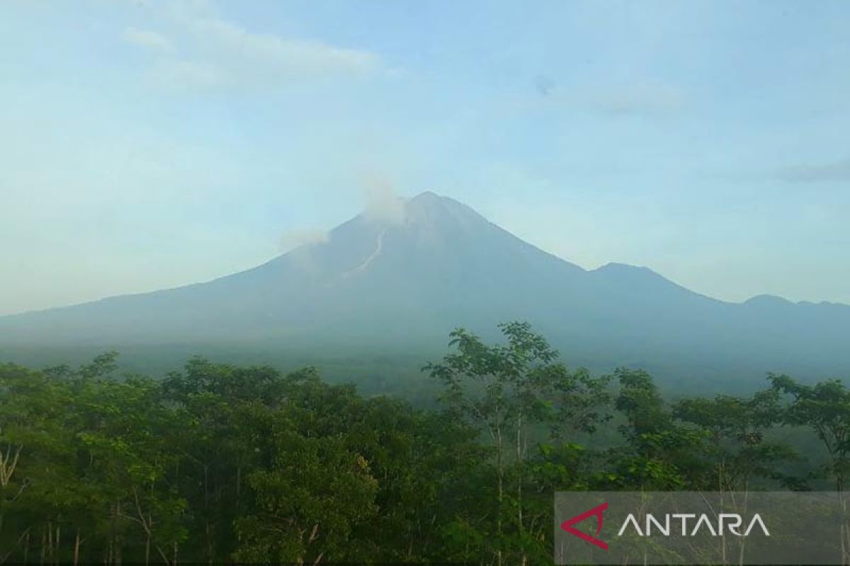 Gunung Semeru meletus 24 kali dalam 12 jam