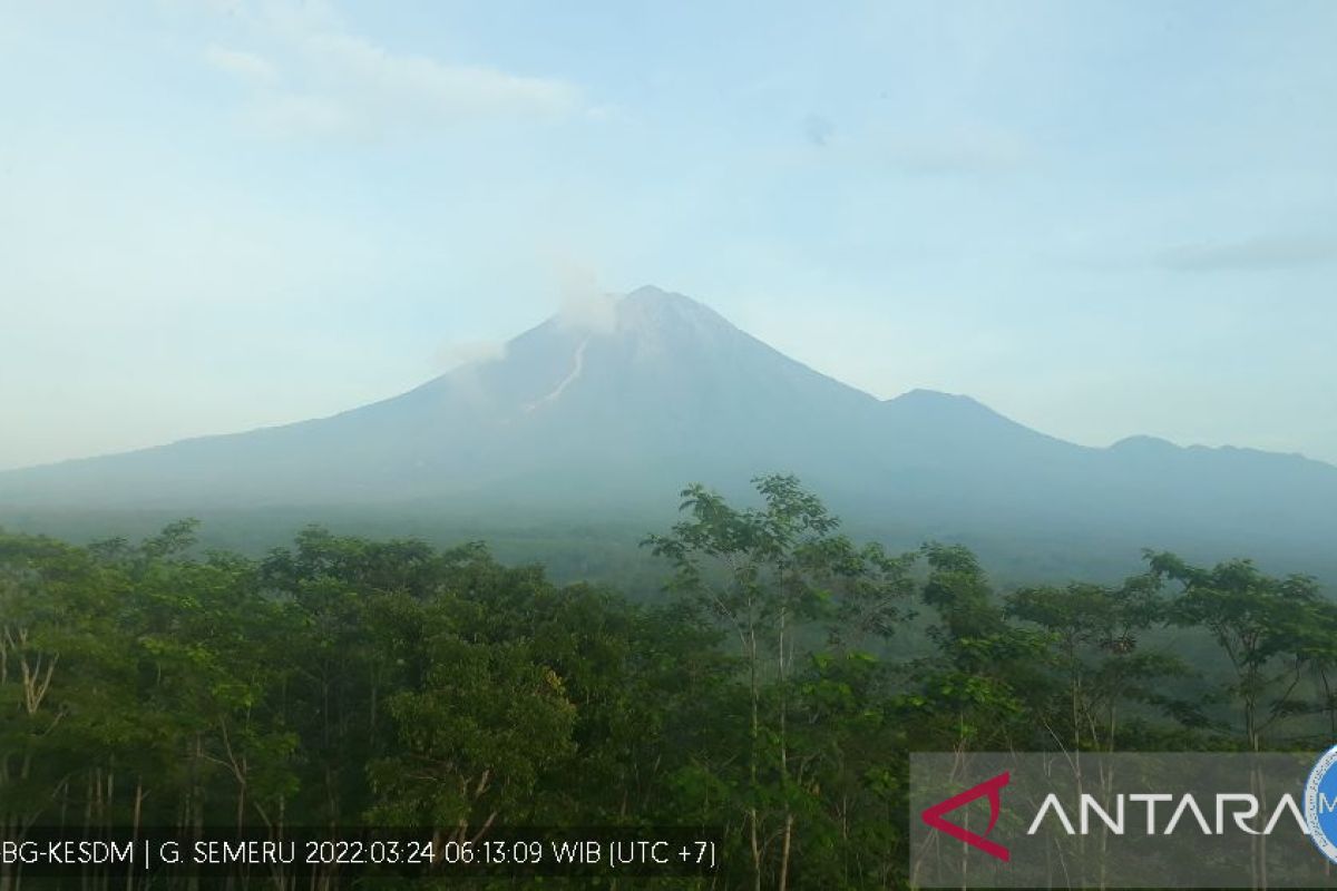 Gunung Semeru alami 24 kali  letusan