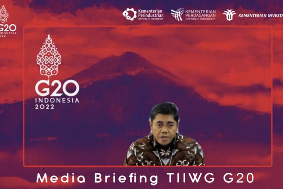 Indonesia to show sustainable industry commitment at G20 TIIWG