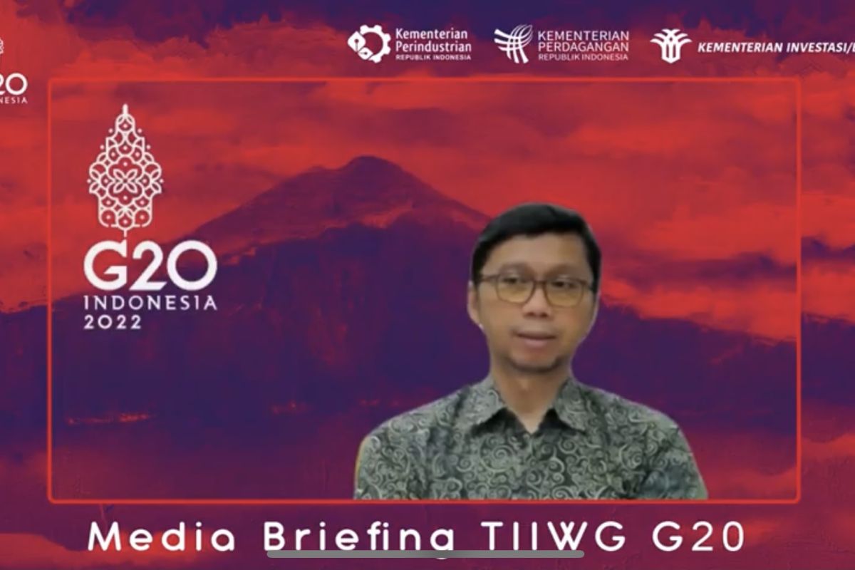 RI kedepankan persamaan pandangan anggota G20 dalam reformasi WTO