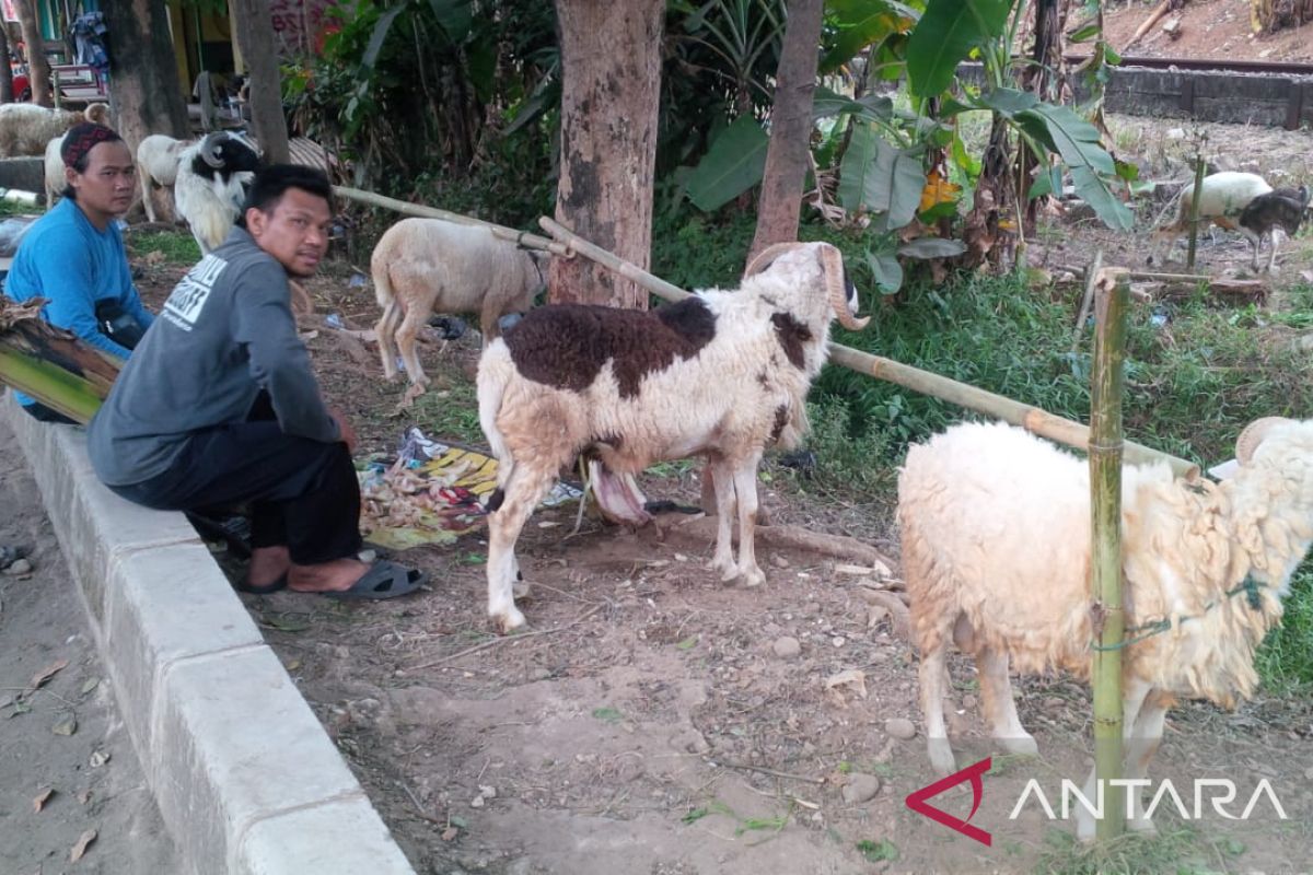 Distan Karawang gelar pembinaan kandang untuk peternak hewan