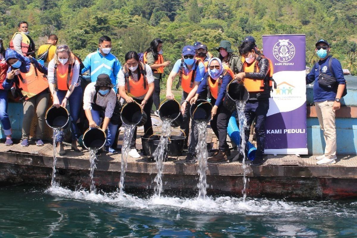 Regal Springs Indonesia tabur 100.000 benih ikan di Danau Toba