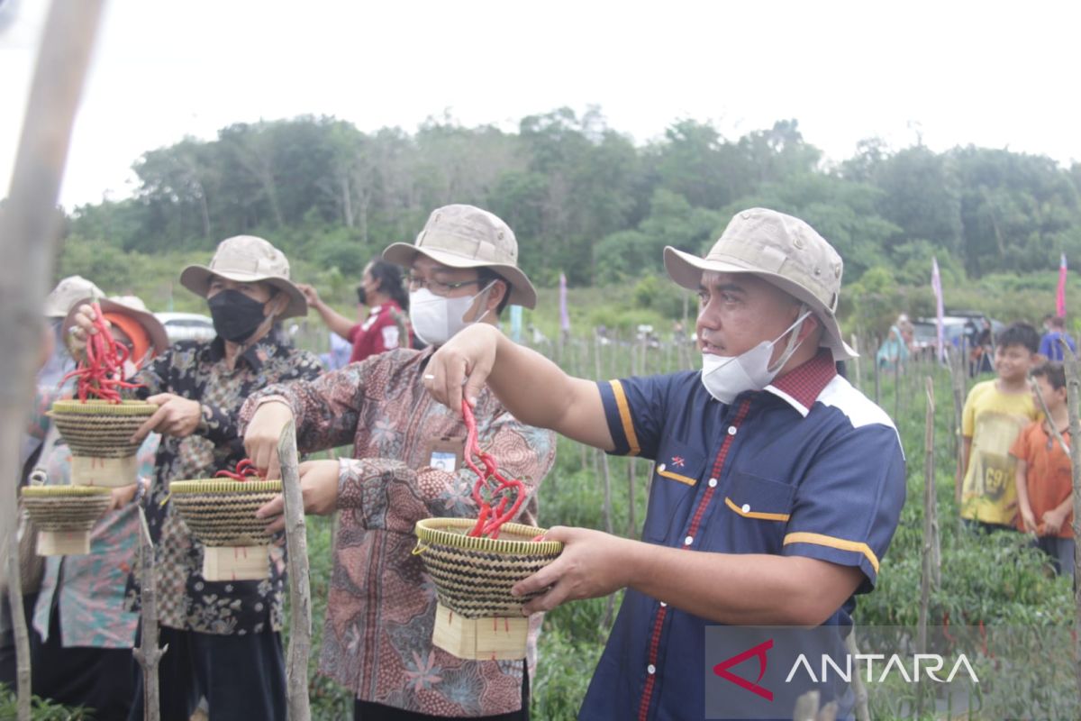 Wali Kota Pangkalpinang ajak warga tekuni usaha niaga tani