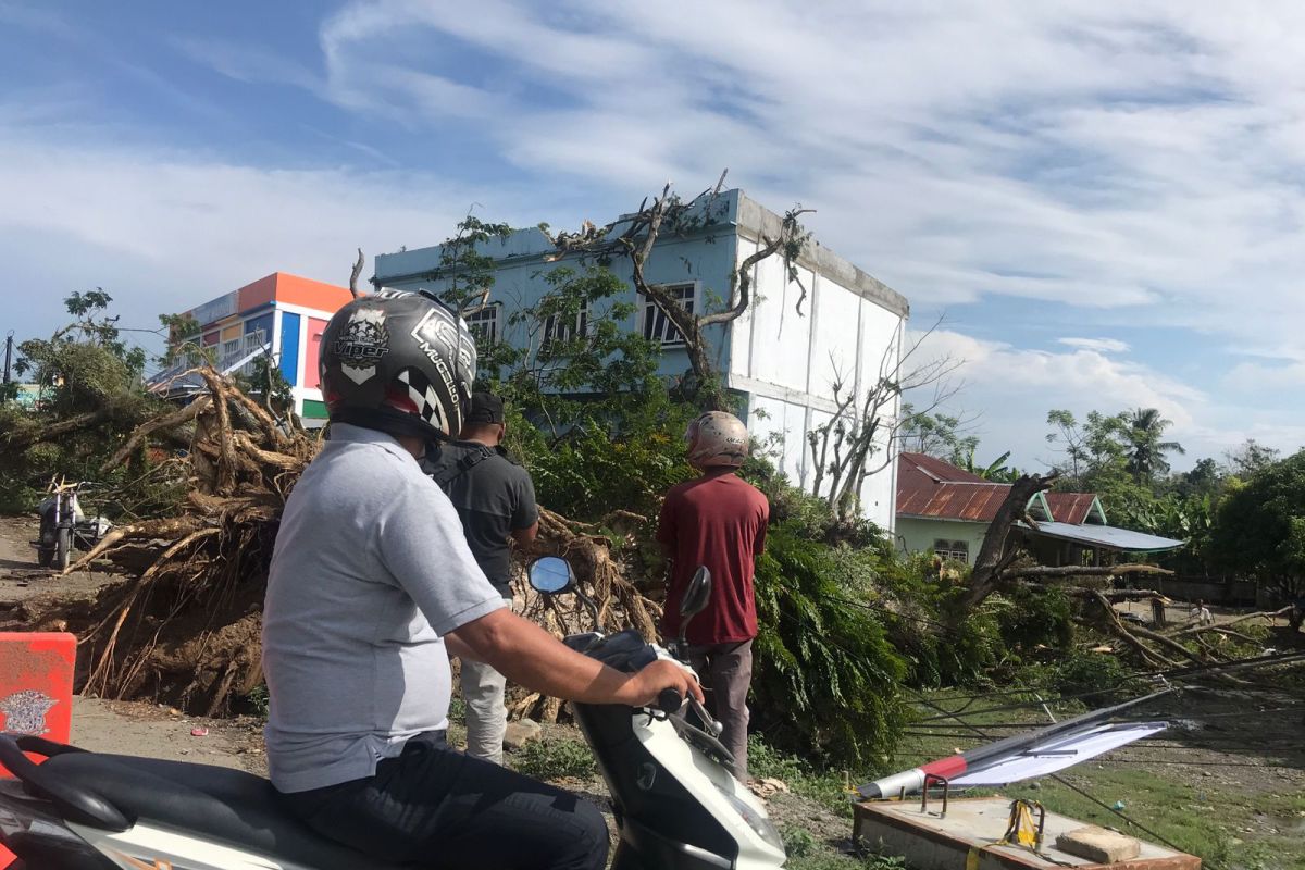 Pohon Tumbang, robohkan tujuh tiang listrik di Mutiara