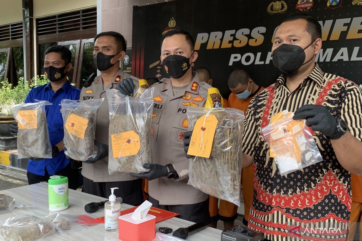 Polisi bekuk jaringan pengedar ganja di Malang