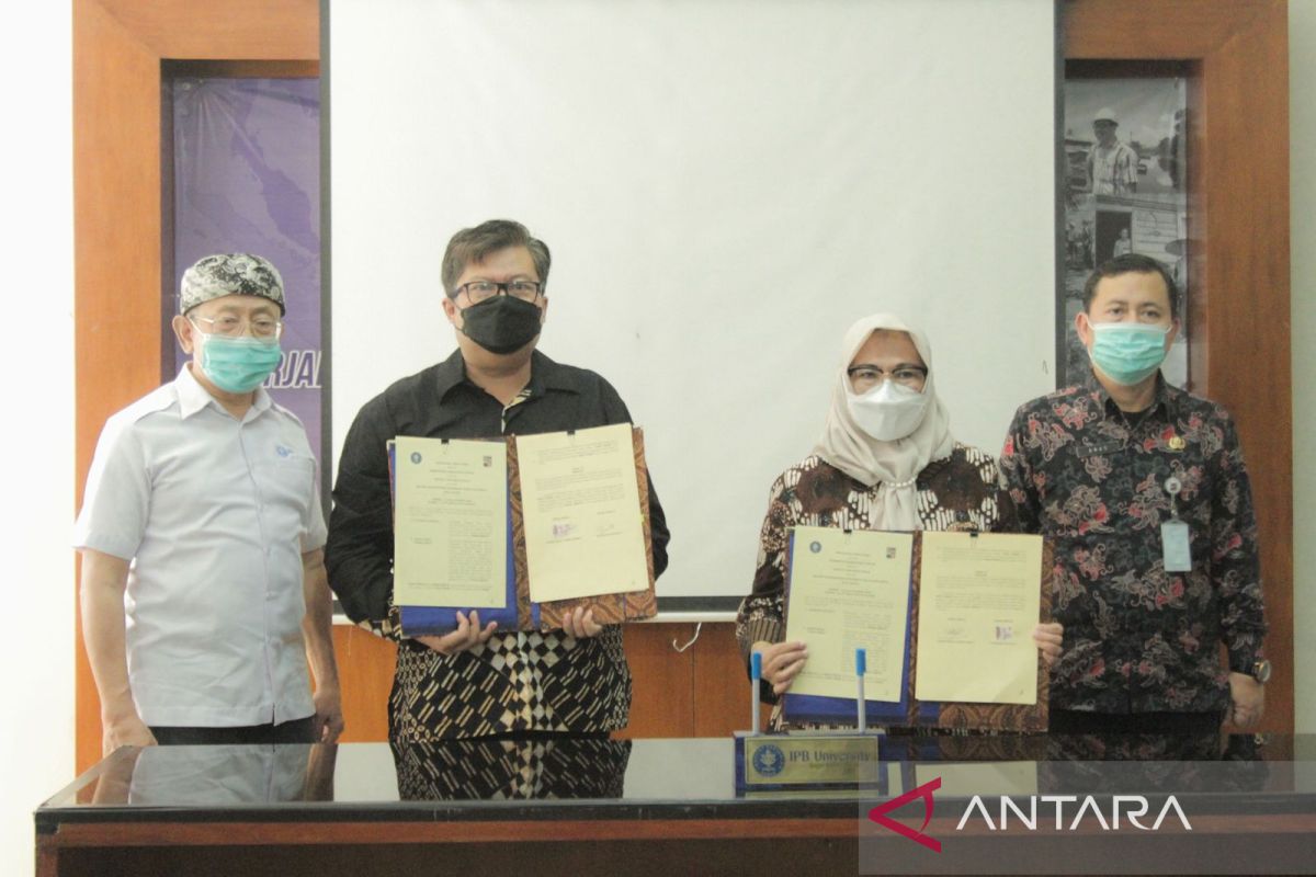 Pemkot Bogor gandeng IPB garap desain agrowisata halal di Rancamaya