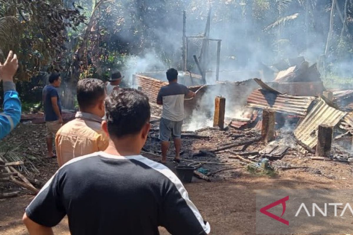 Ditinggal pesta, rumah kediaman Siregar di Pargarutan Jae Tapsel habis terbakar