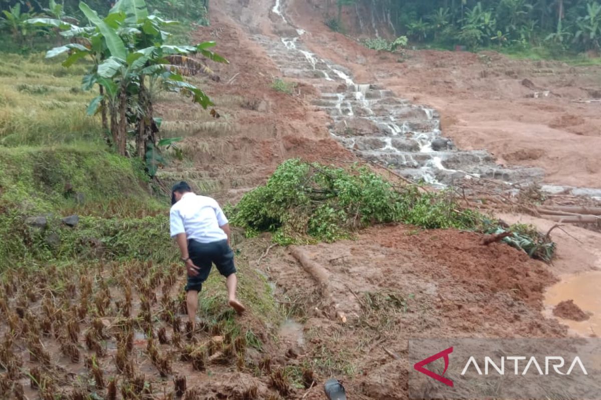 Lima hektare sawah di Palabuhanratu gagal panen tertimbun longsor akibat  hujan deras