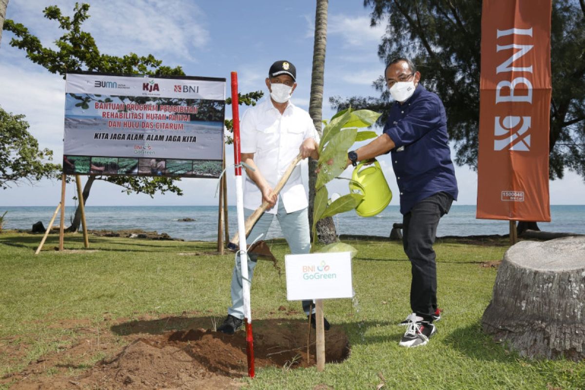 BNI dorong rehabilitasi hutan pesisir Pantai Anyer dan DAS Citarum