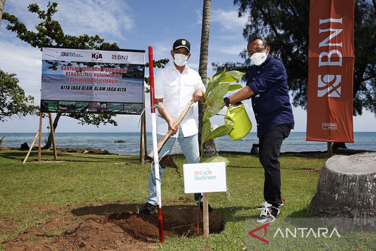 BNI dorong rehabilitasi hutan pesisir Pantai Anyer