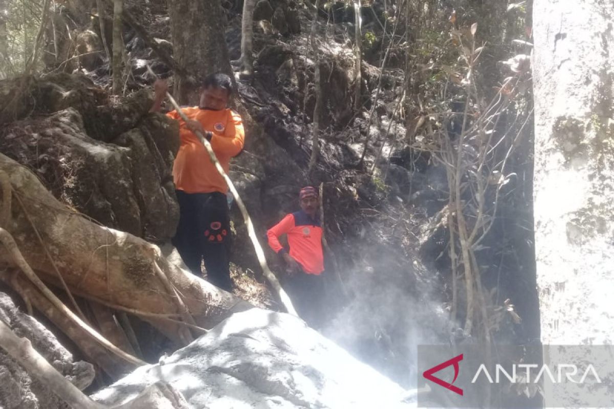 Tim gabungan berhasil padamkan api yang bakar hutan lindung di Agam