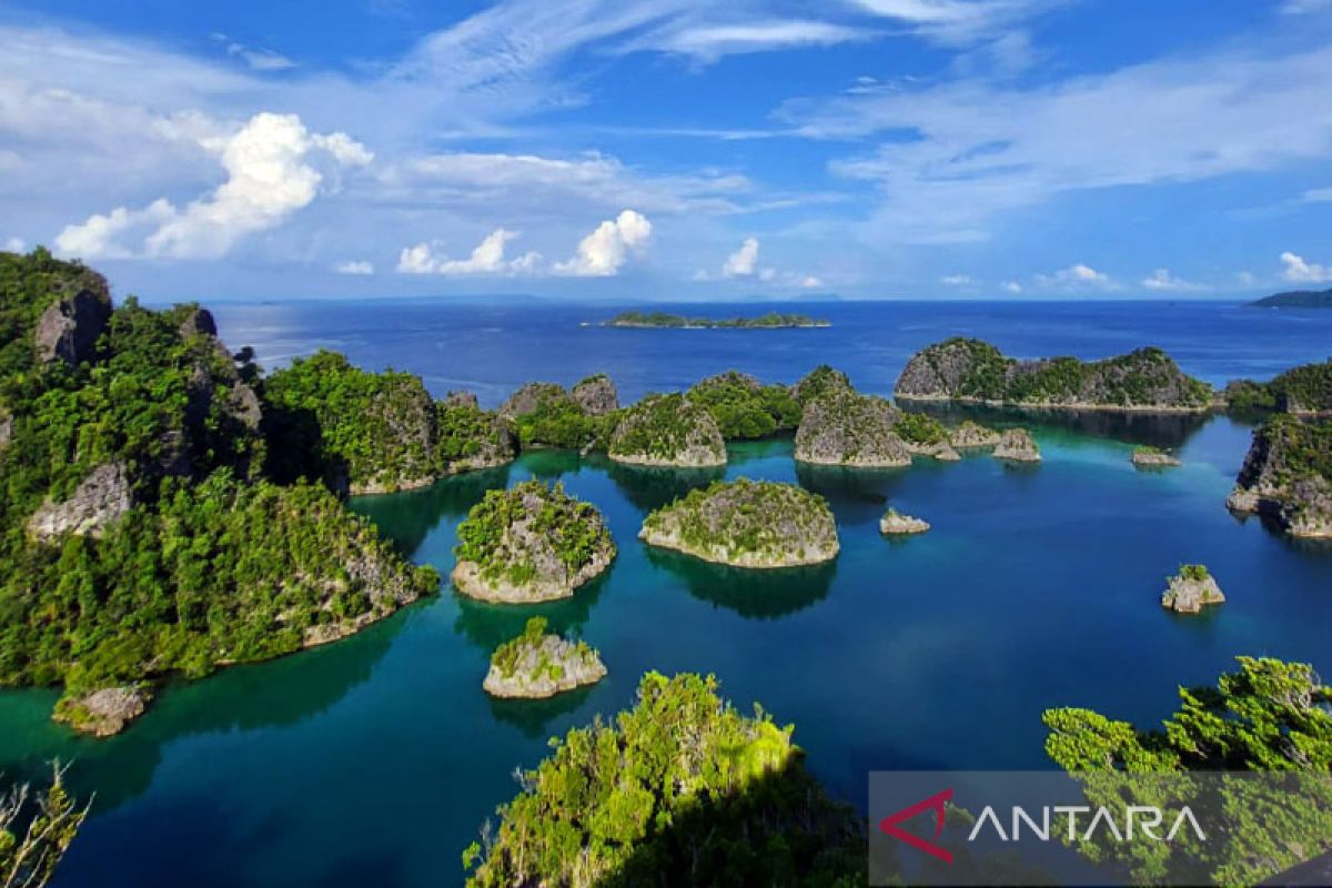 Penantian endemi desa wisata spesies Raja Ampat