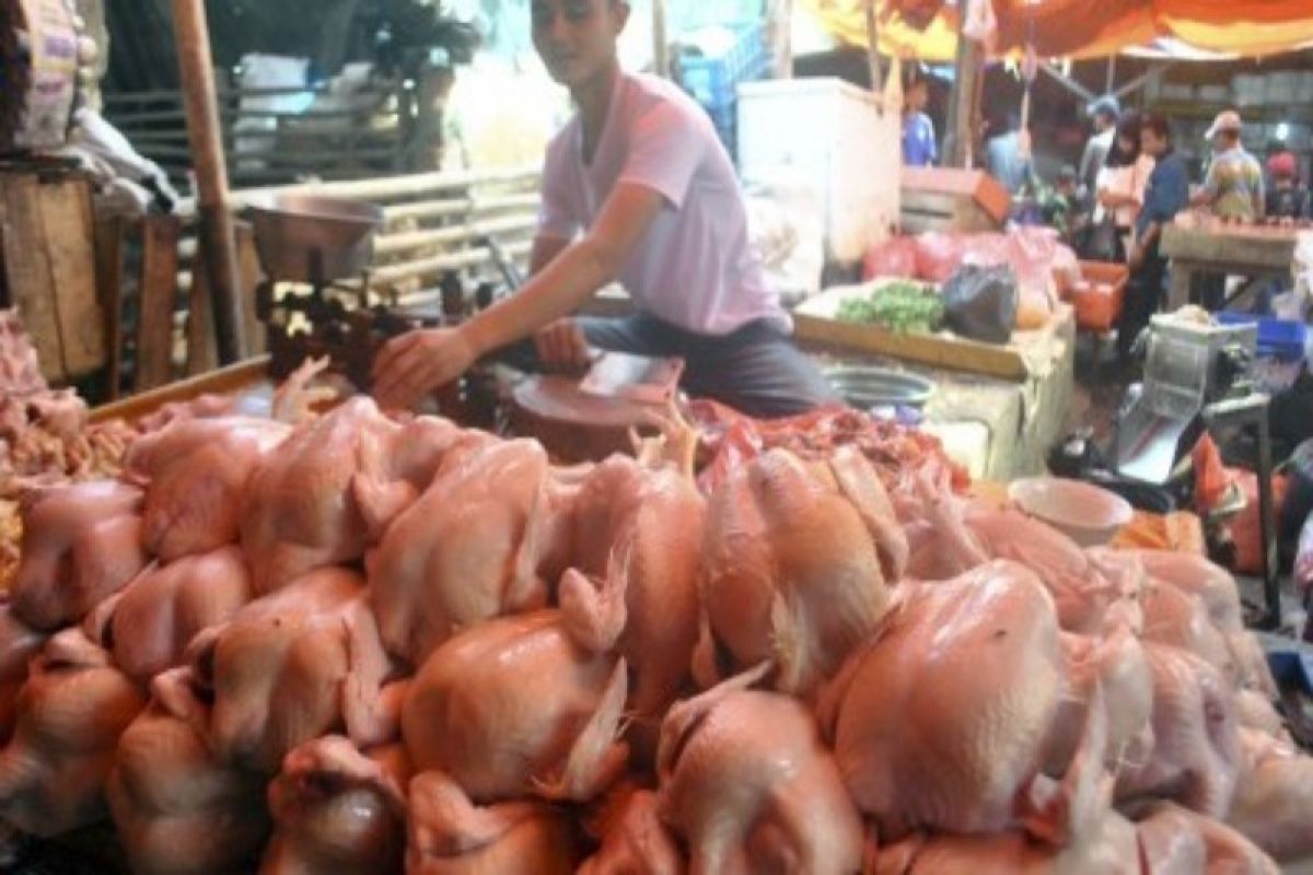 Jelang Ramadhan 1443 H, harga daging ayam potong naik di Tebing Tinggi