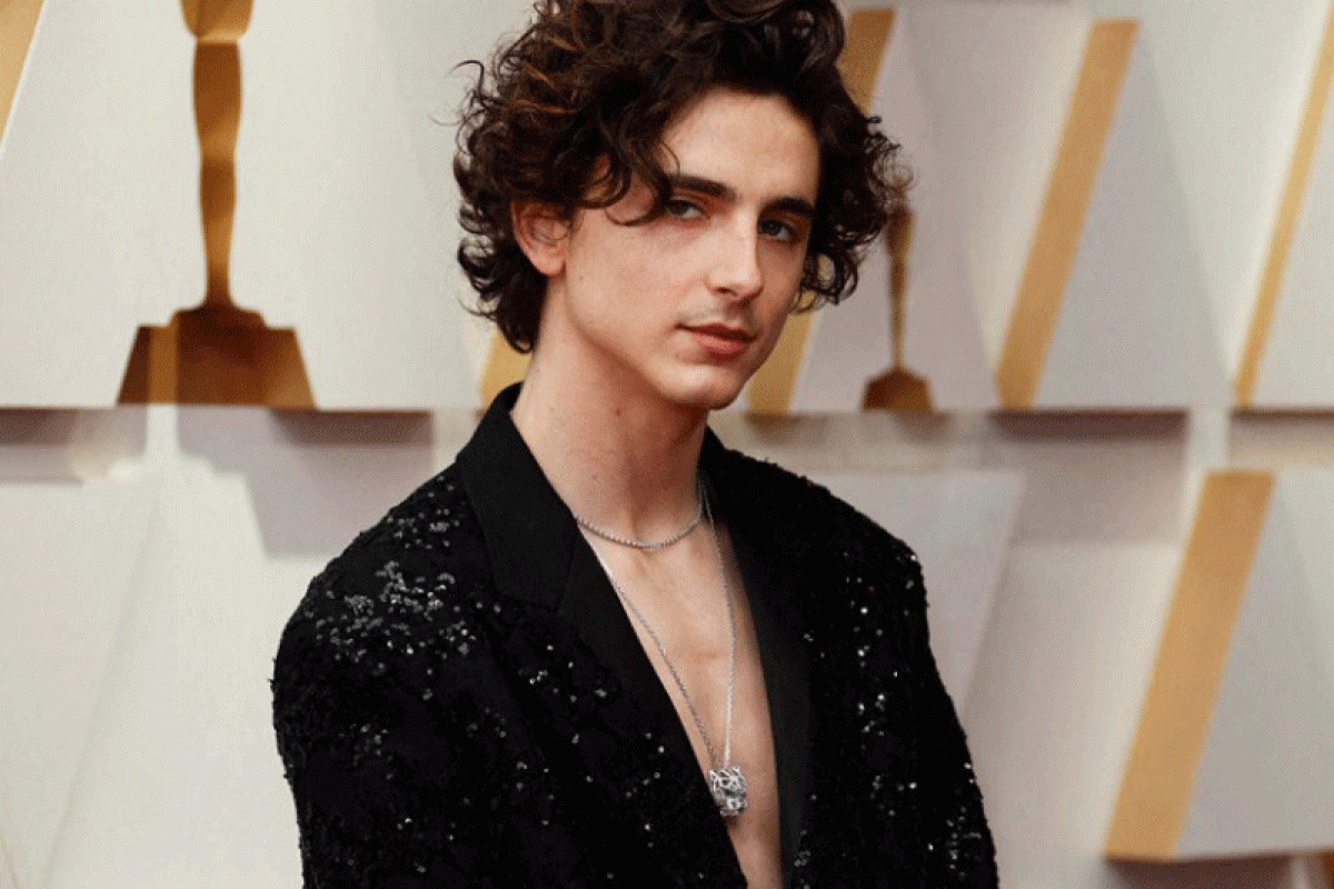 Timothee Chalamet bakal bernyanyi di biopik Bob Dylan