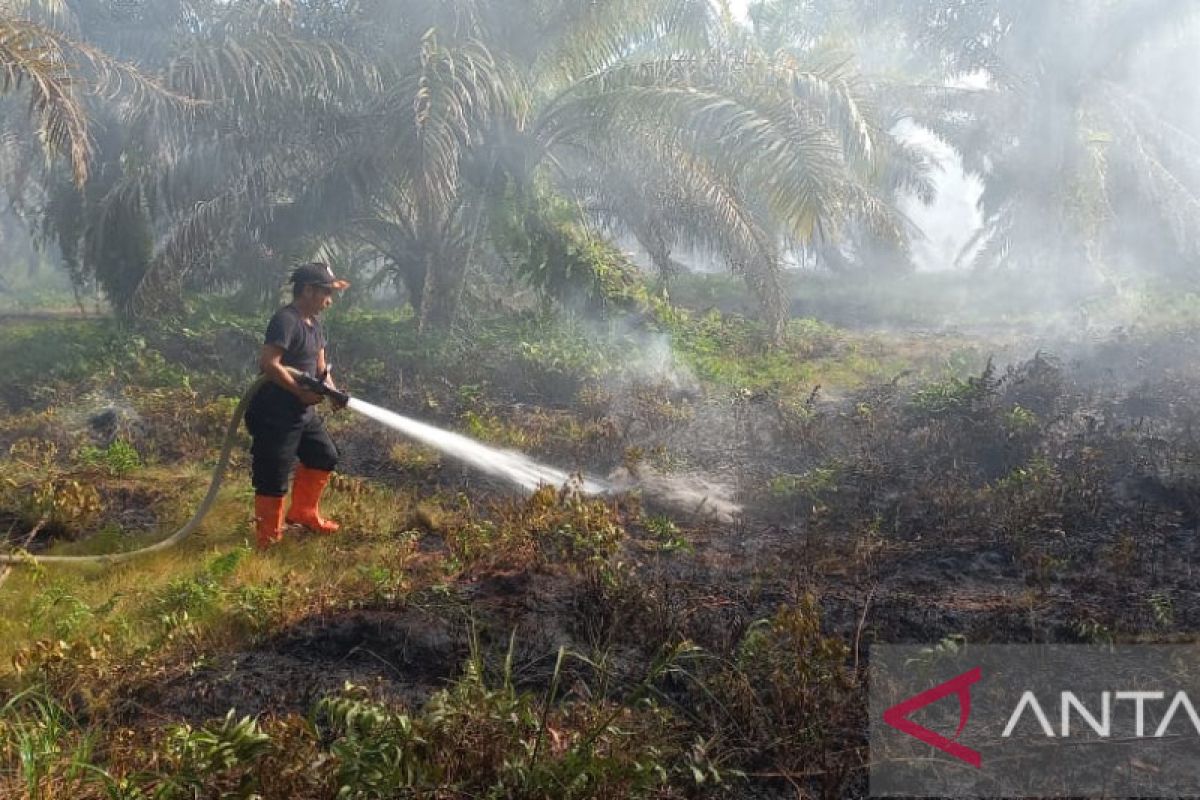 Tujuh hari terakhir ada empat kebakaran hutan-lahan di Agam